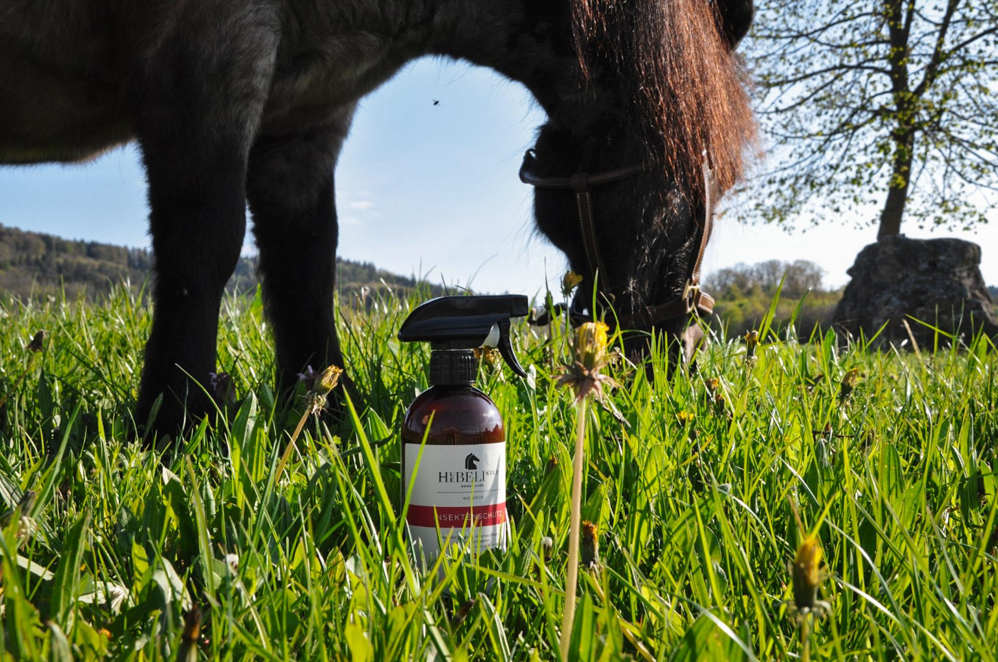 Premium Horse Care Protection