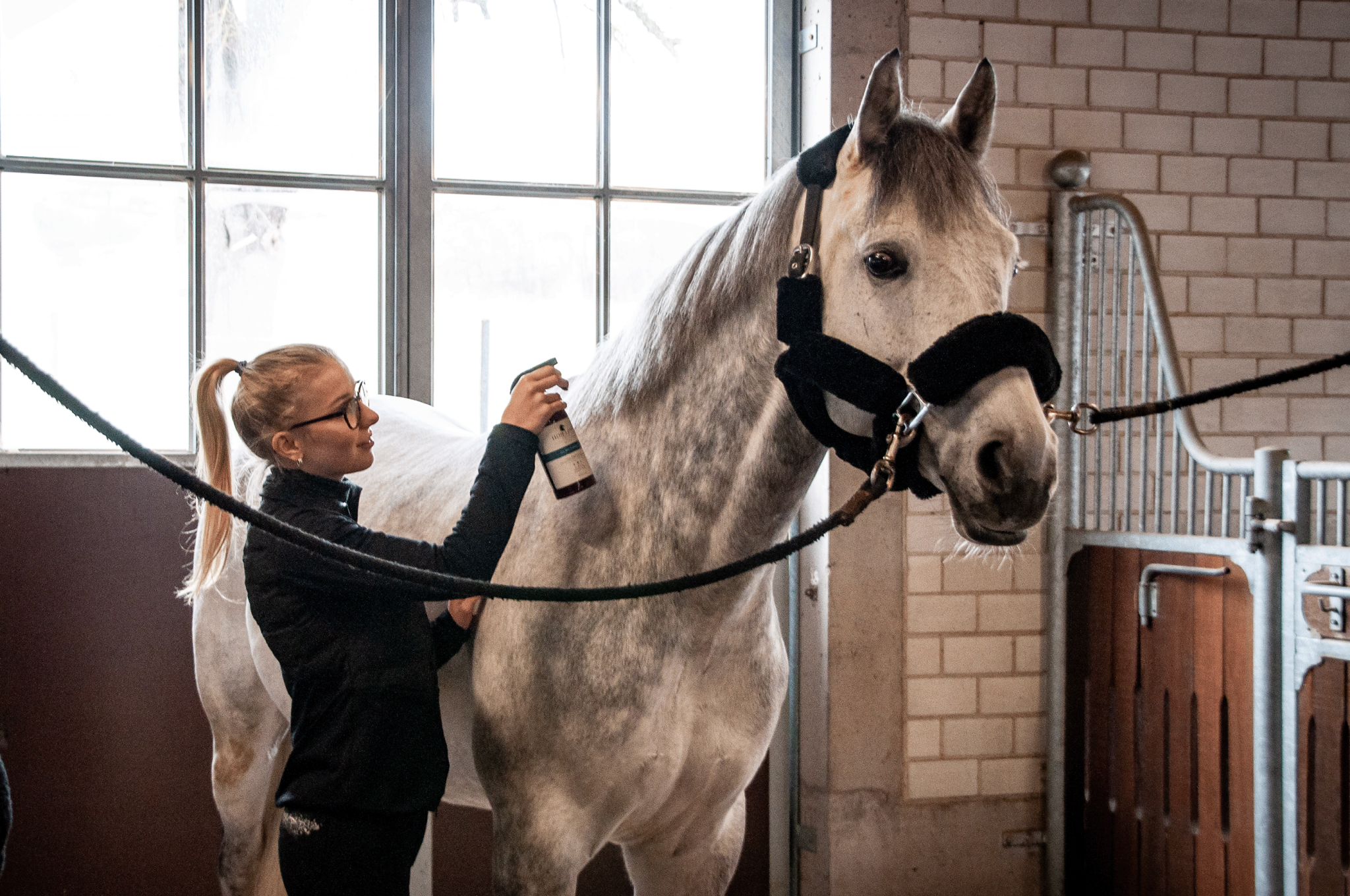 Premium Horse Care Beauty