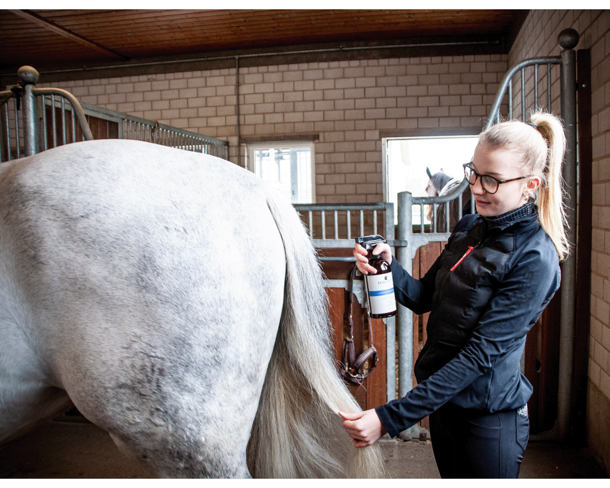 Huebeli Stud Langhaarpflege